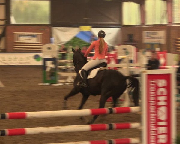 Reitturnier Ovenstädt 2017