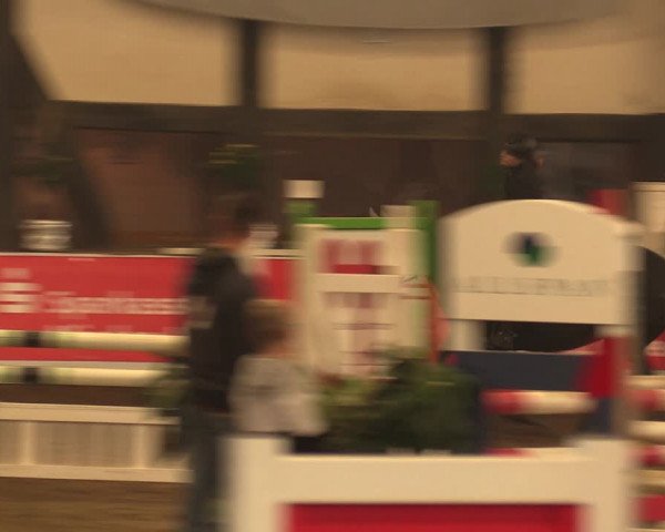 Reitturnier Ovenstädt 2017