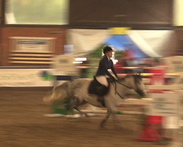 Reitturnier Ovenstädt 2017