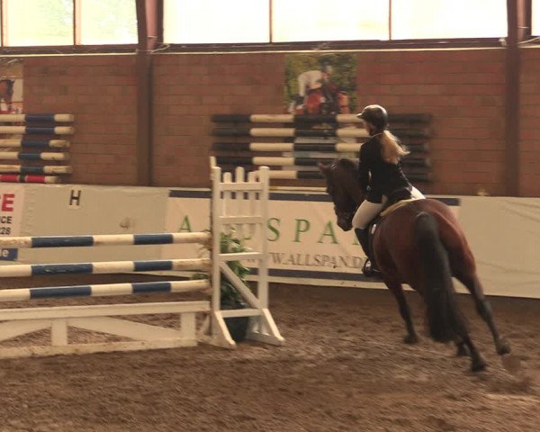 Reitturnier Ovenstädt 2017