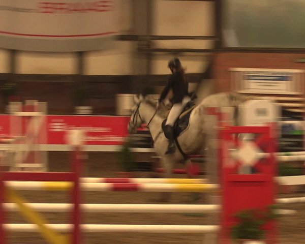 Reitturnier Ovenstädt 2017