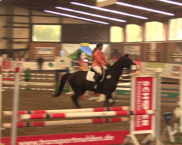 Reitturnier Ovenstädt 2017