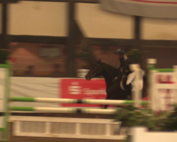 Reitturnier Ovenstädt 2017
