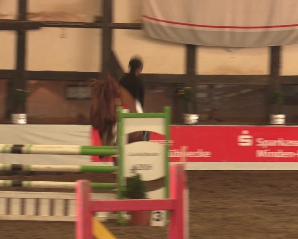 Reitturnier Ovenstädt 2017