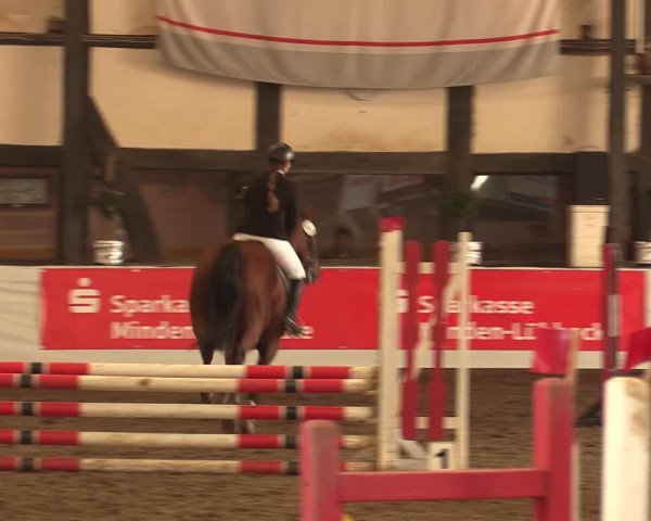 Reitturnier Ovenstädt 2017