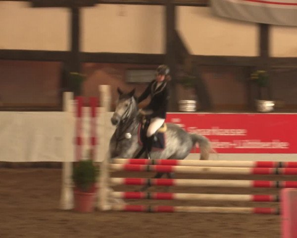 Reitturnier Ovenstädt 2017