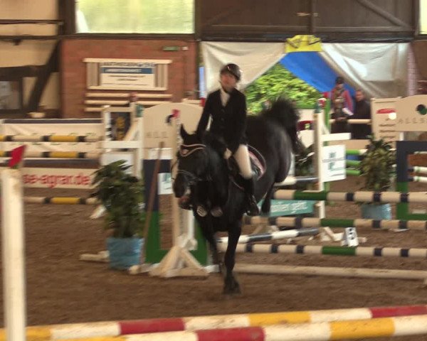 Reitturnier Ovenstädt 2017