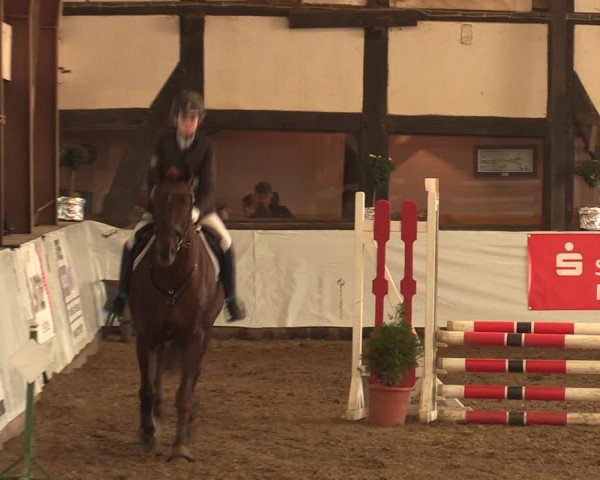Reitturnier Ovenstädt 2017