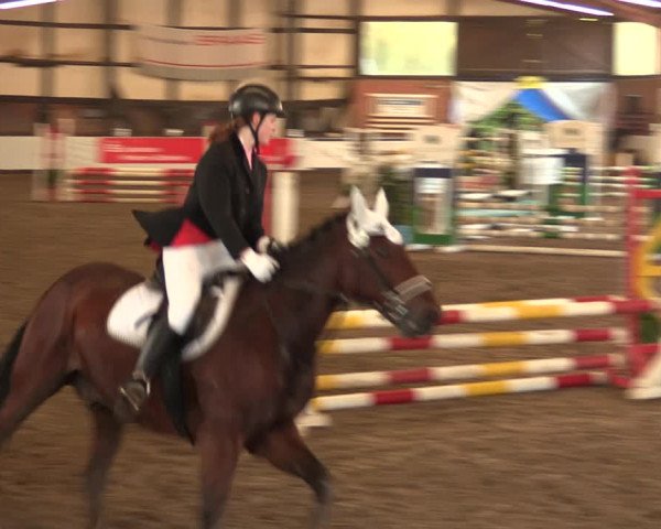 Reitturnier Ovenstädt 2017