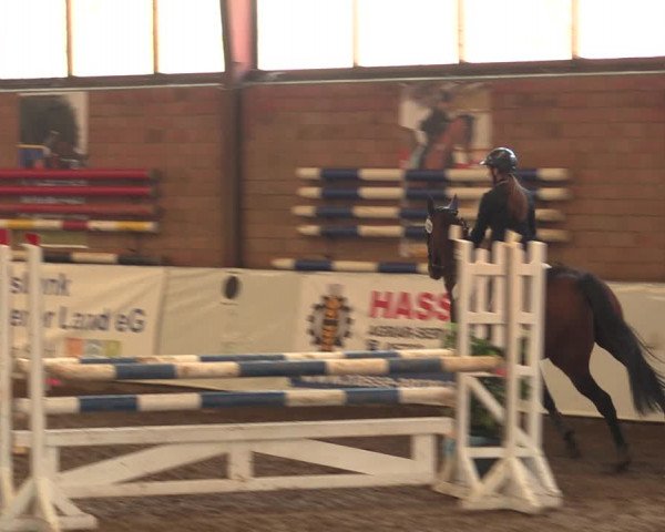 Reitturnier Ovenstädt 2017