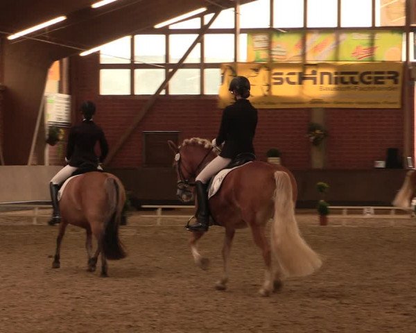 Reitturnier Hüllhorst 2017