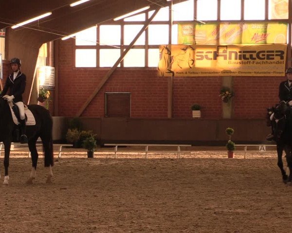 Reitturnier Hüllhorst 2017