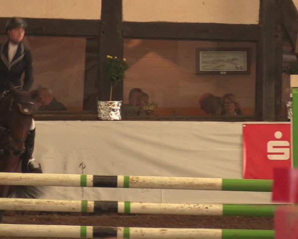 Reitturnier Ovenstädt 2017