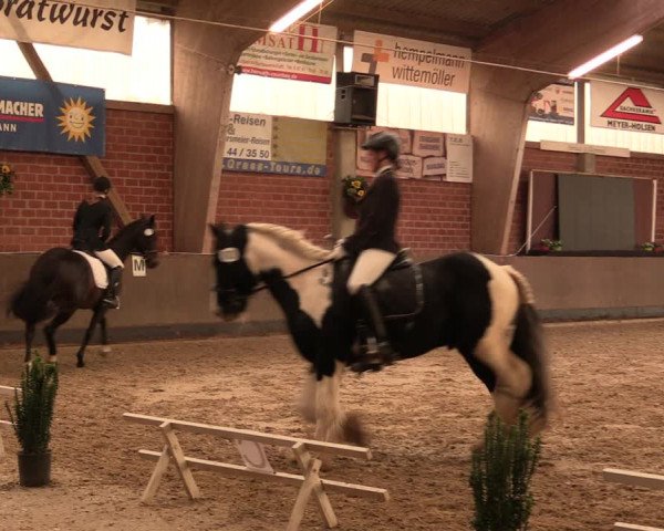 Reitturnier Hüllhorst 2017