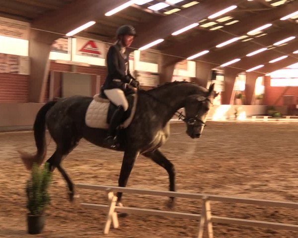 Reitturnier Hüllhorst 2017