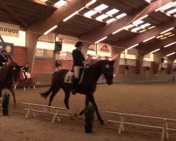 Reitturnier Hüllhorst 2017