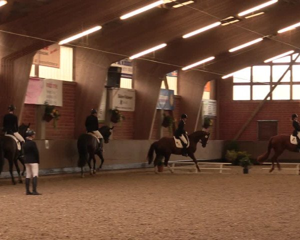 Reitturnier Hüllhorst 2017