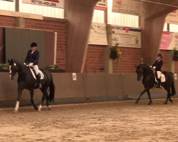 Reitturnier Hüllhorst 2017