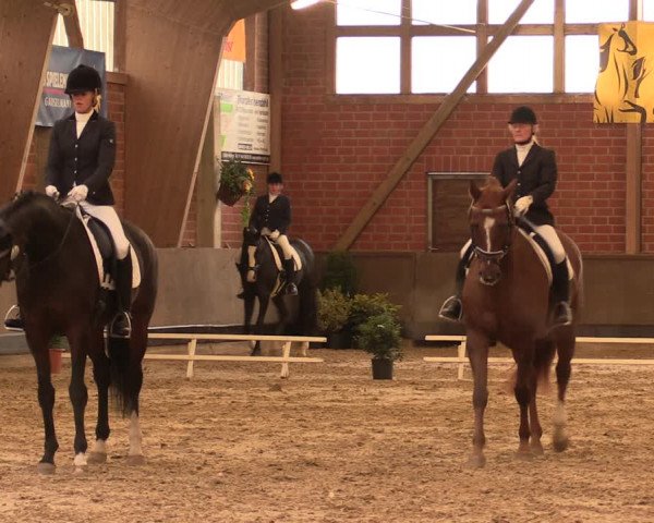 Reitturnier Hüllhorst 2017