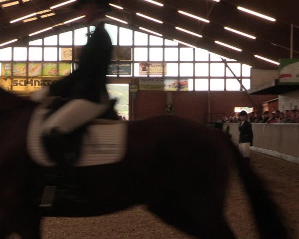 Reitturnier Hüllhorst 2017