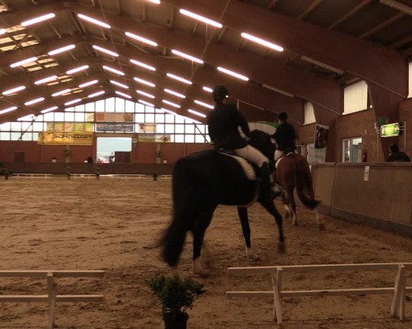 Reitturnier Hüllhorst 2017