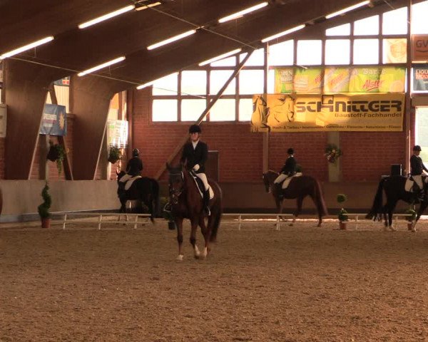 Reitturnier Hüllhorst 2017