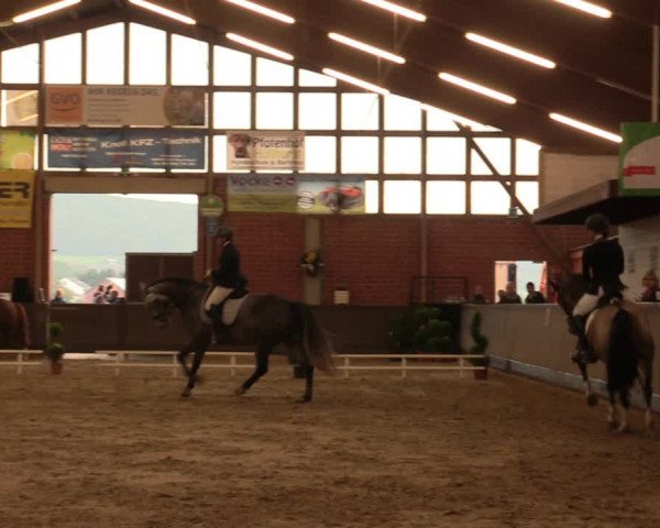 Reitturnier Hüllhorst 2017