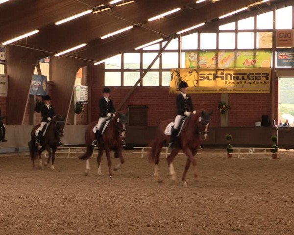 Reitturnier Hüllhorst 2017