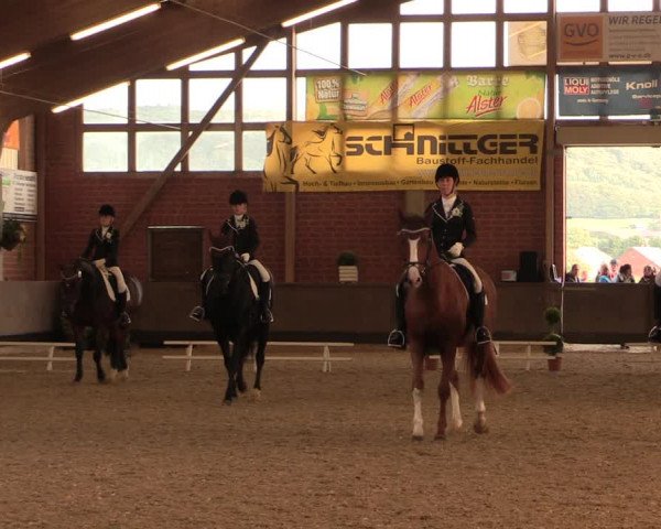 Reitturnier Hüllhorst 2017