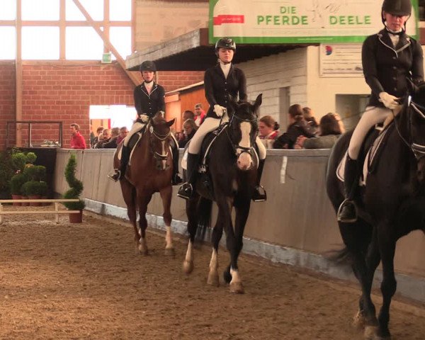 Reitturnier Hüllhorst 2017
