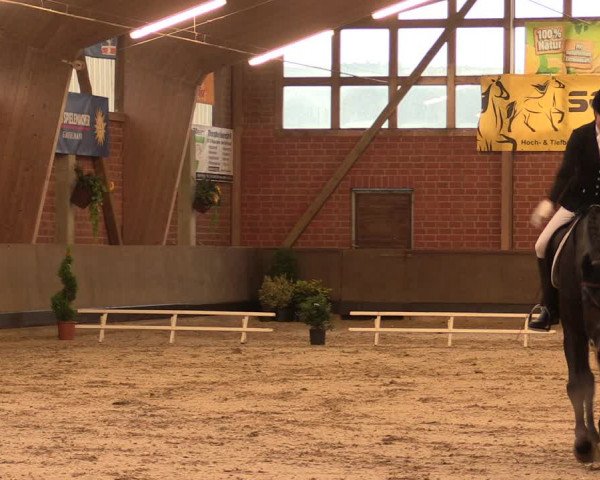 Reitturnier Hüllhorst 2017