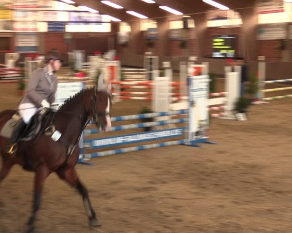 Reitturnier Hüllhorst 2017