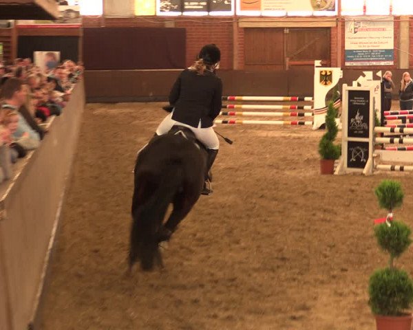 Reitturnier Hüllhorst 2017