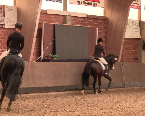 Reitturnier Hüllhorst 2017