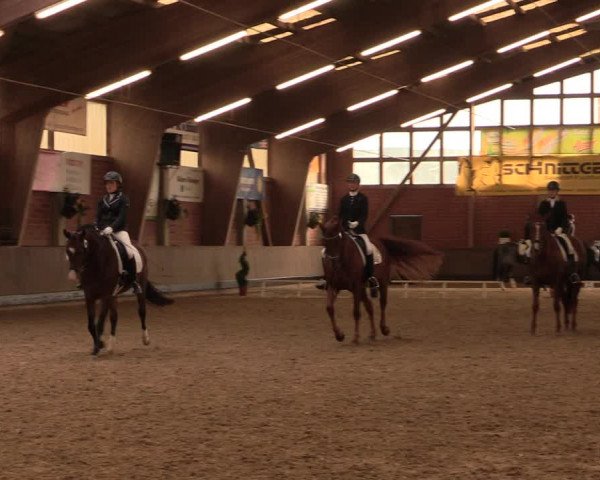Reitturnier Hüllhorst 2017