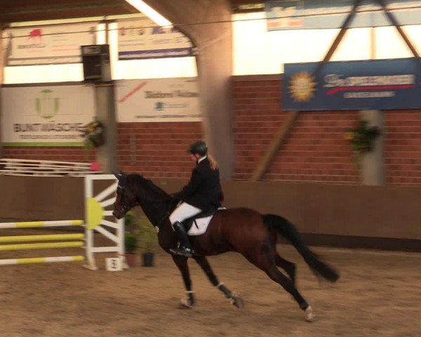 Reitturnier Hüllhorst 2017