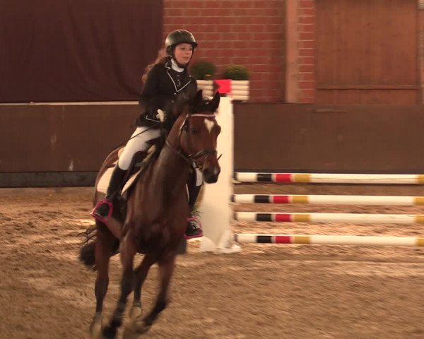 Reitturnier Hüllhorst 2017