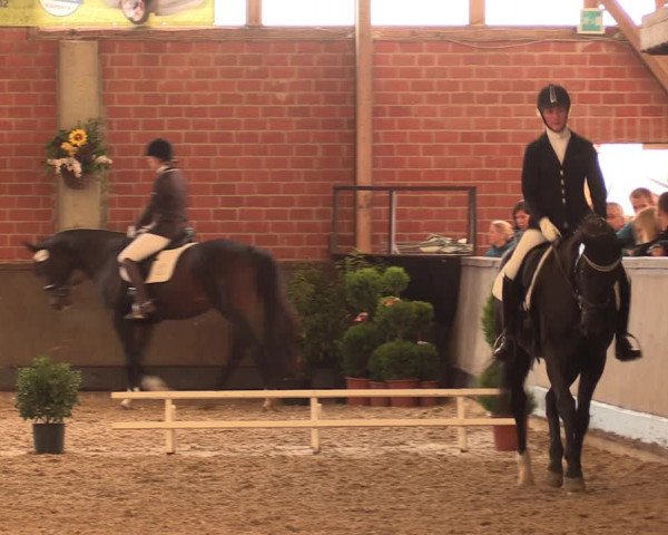 Reitturnier Hüllhorst 2017