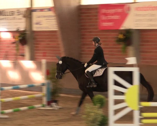 Reitturnier Hüllhorst 2017
