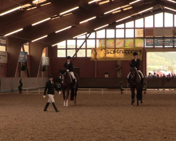 Reitturnier Hüllhorst 2017
