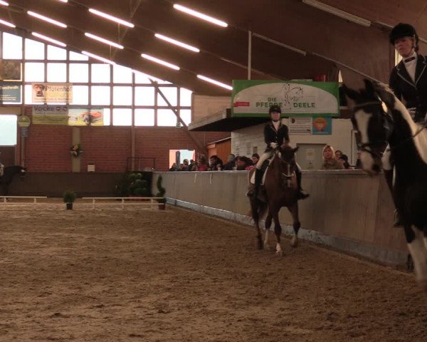 Reitturnier Hüllhorst 2017