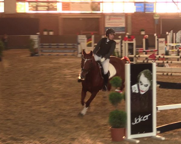 Reitturnier Hüllhorst 2017