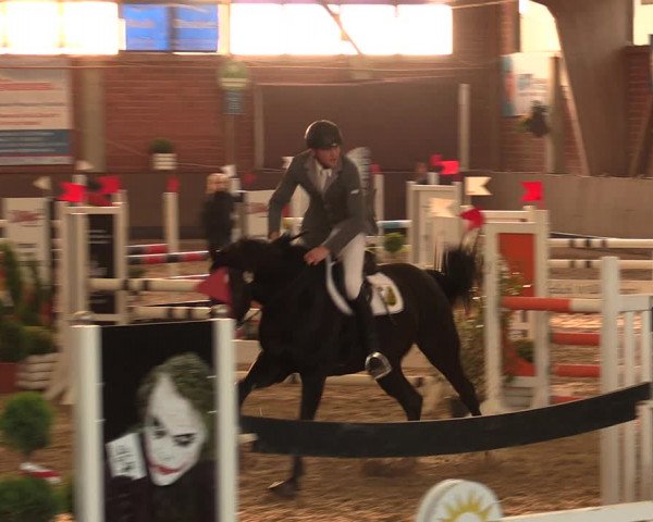 Reitturnier Hüllhorst 2017