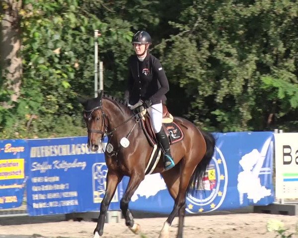 Reitturnier Greppin 2017