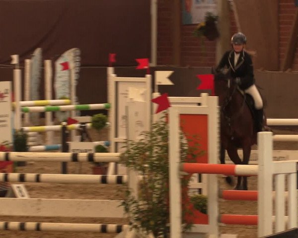 Reitturnier Hüllhorst 2017