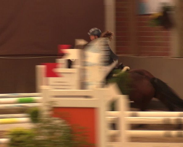 Reitturnier Hüllhorst 2017