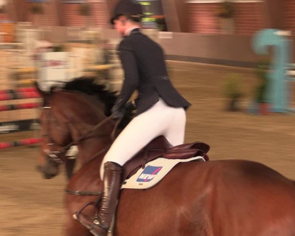 Reitturnier Greppin 2017