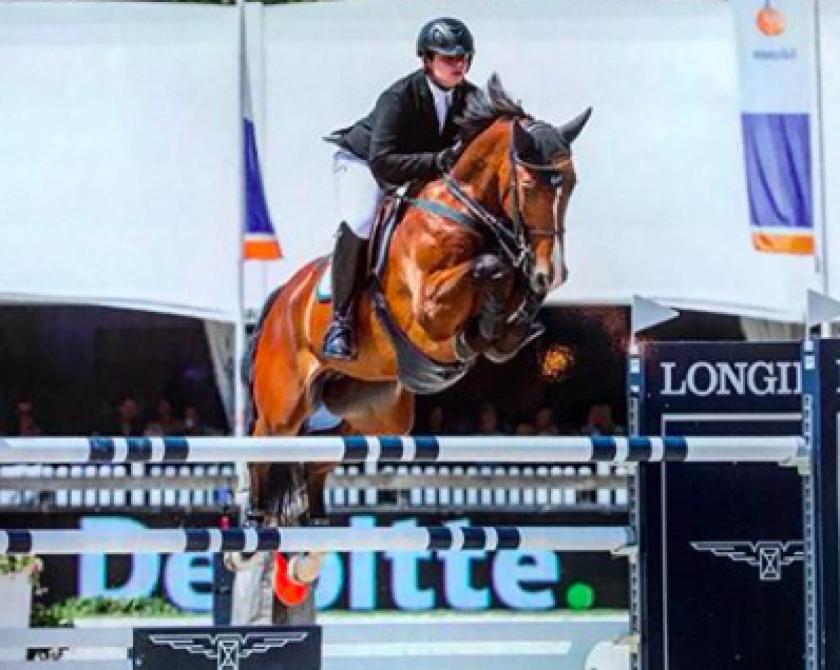 jumper Balou Puissant (Nederlands Rijpaarden en Pony, 2006, from Balouco)