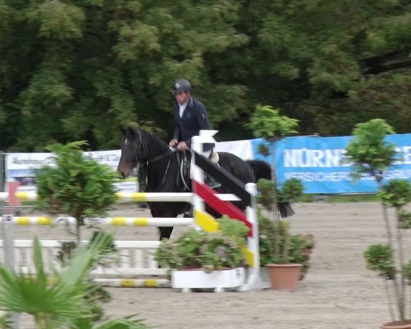 Reitturnier Greppin 2017