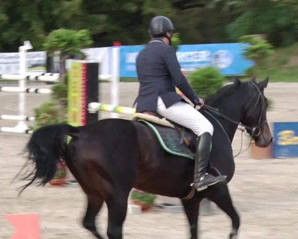 Reitturnier Greppin 2017